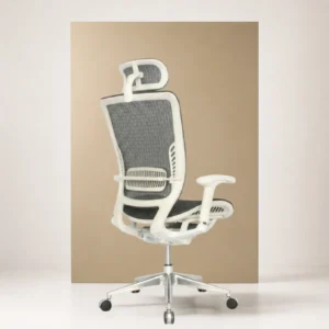 SILLA DE OFICINA MOUSISHI PRESIDENTE PREMIUM