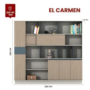 BIBLIOTECA EL CARMEN